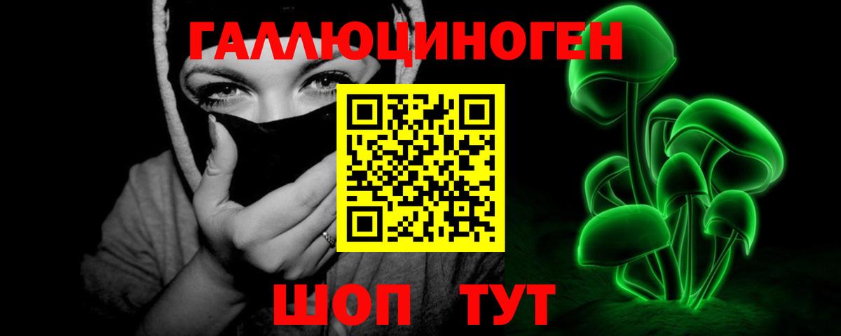 закладка  Вход с VPN  Нововоронеж  Псилоцибиновые грибы Cubensis  Псилоцибиновые грибы Cubensis 